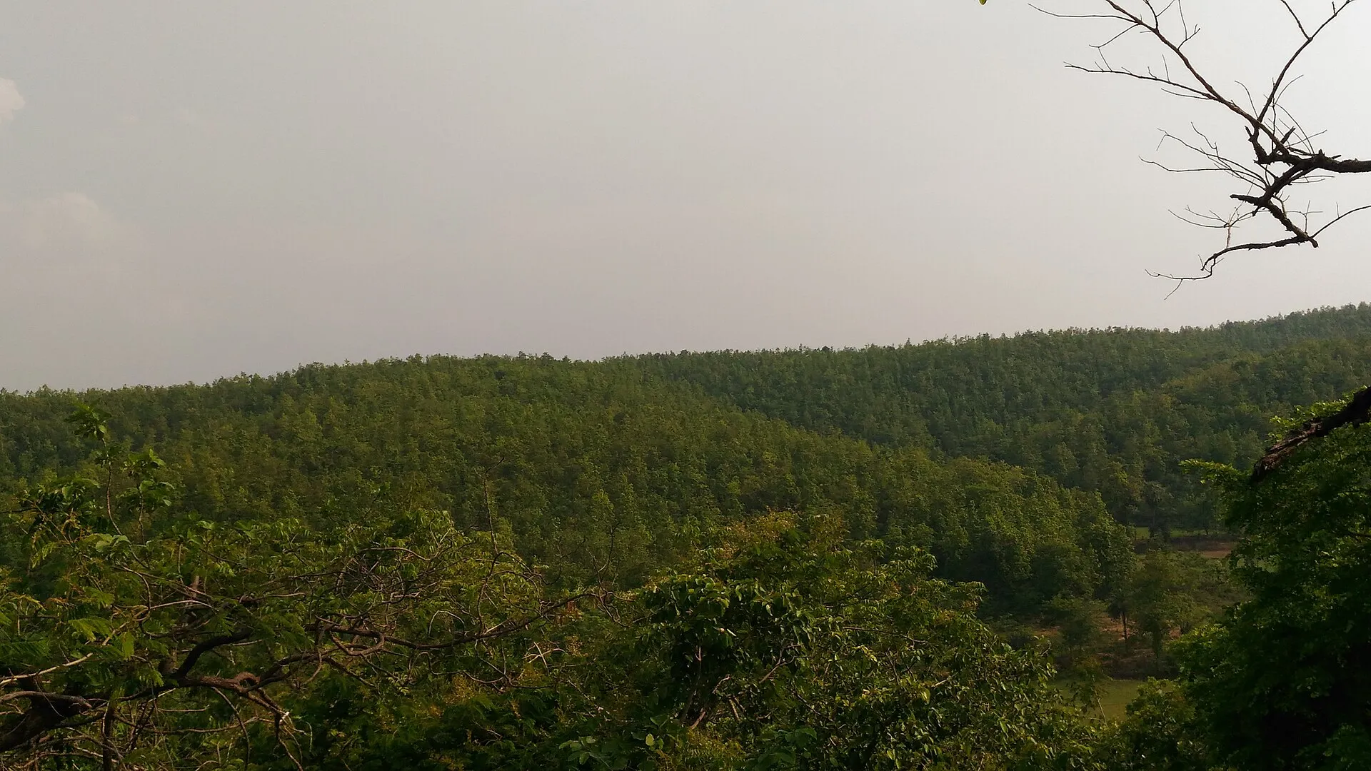 Kankrajhor forest hilltop