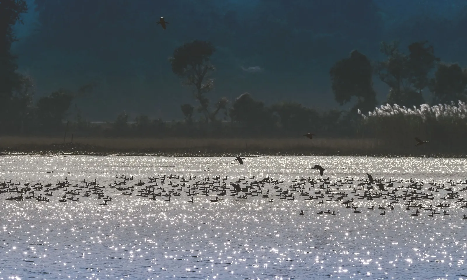 Bankura photo 13
